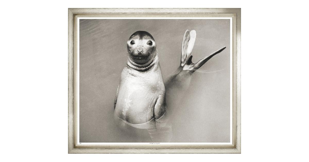 TROWBRIDGE Jumbos Just Popped Up To Say Hello Artist Collection TROWBRIDGE Jumbos Just Popped Up To Say Hello Artist Collection