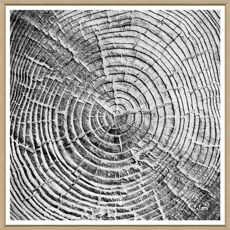 Image BWTS-1