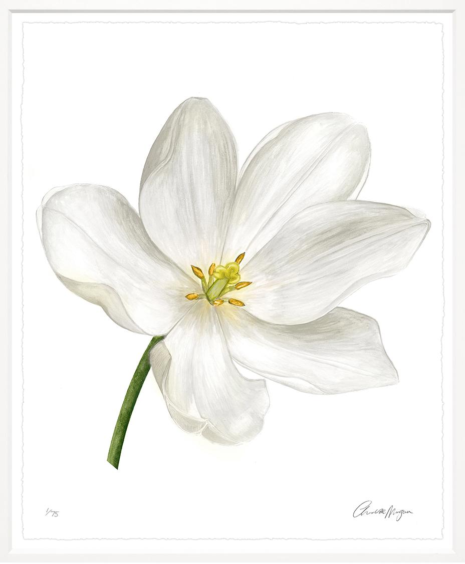 Image WTY-7