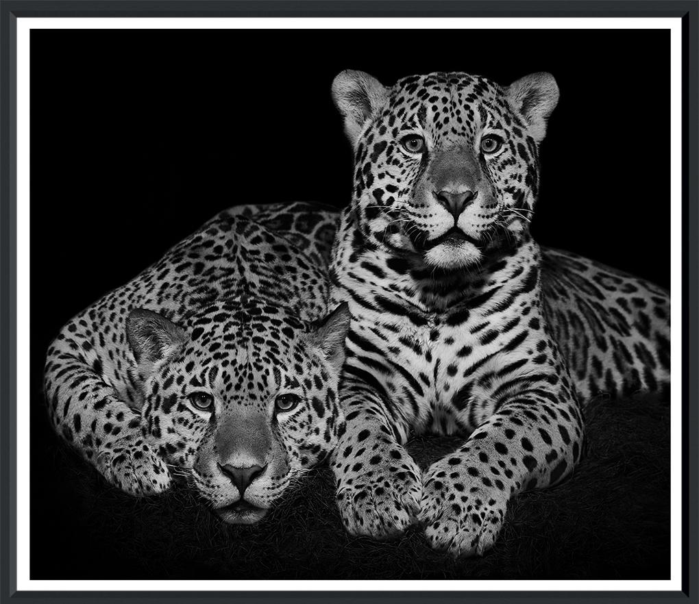 Image TG-2415-1