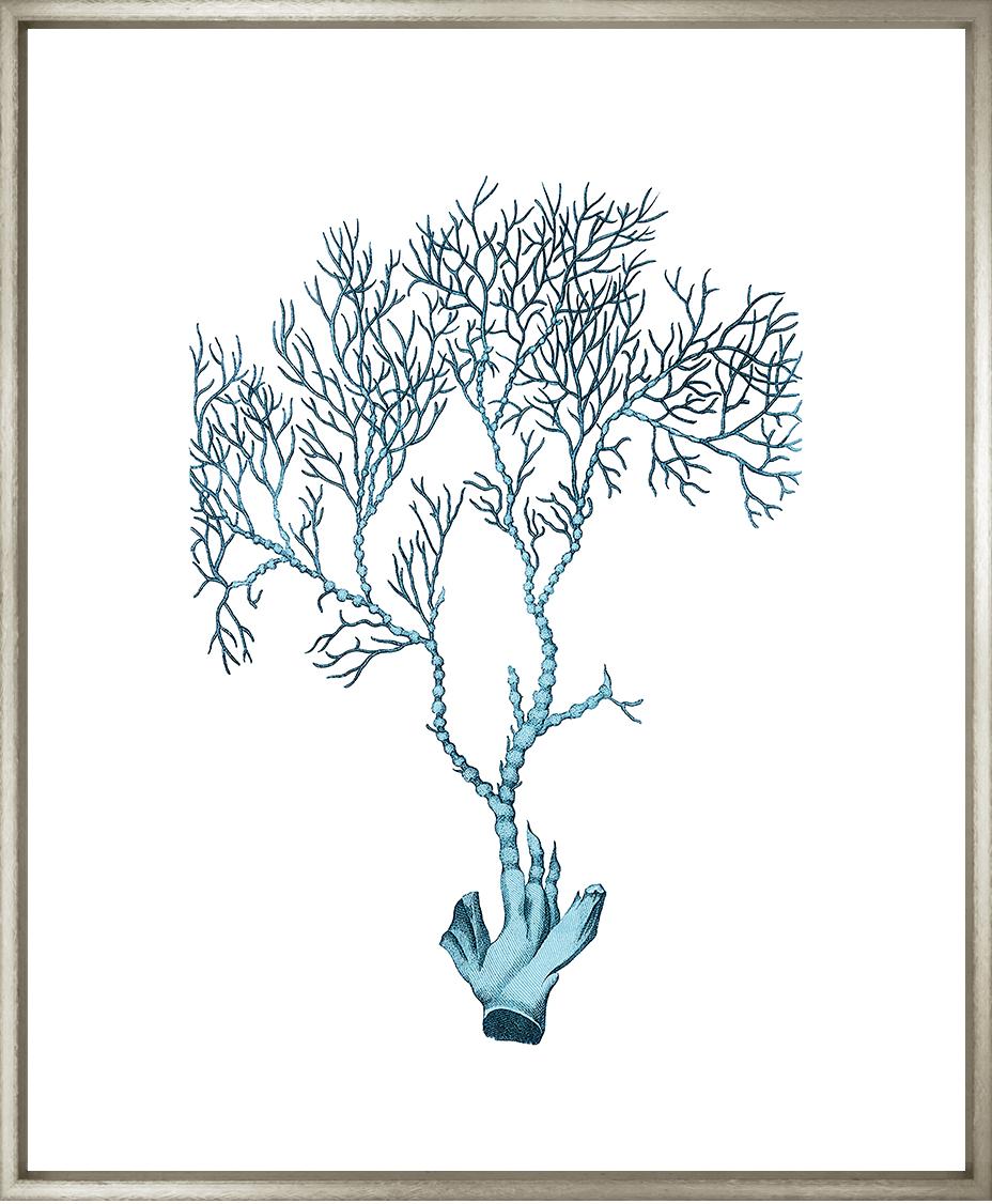 Image BCRB-1