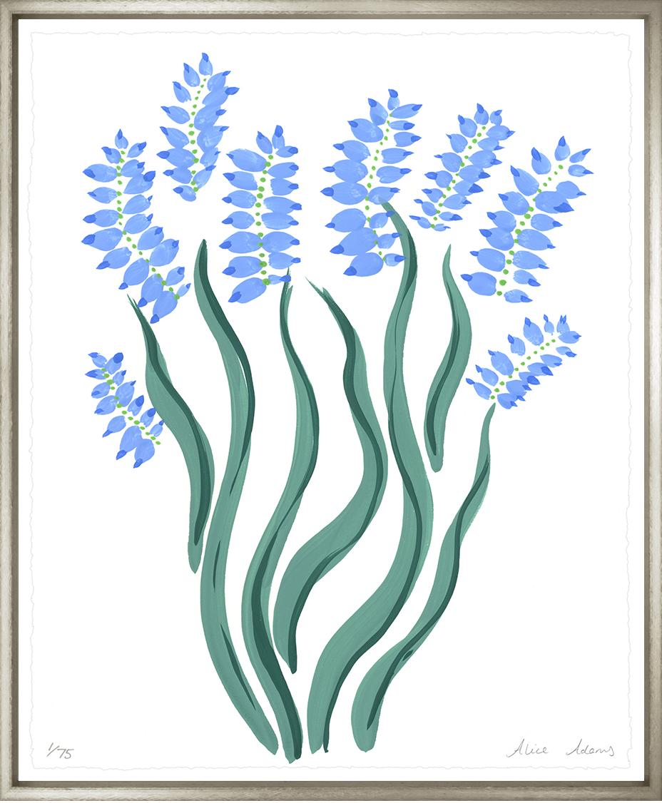 Image BFL-1