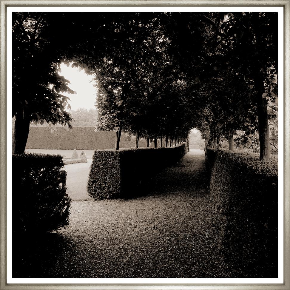 Image BGD-1