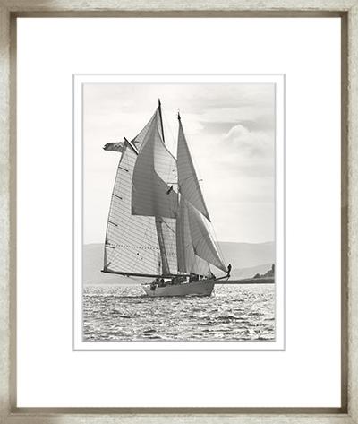 Image BWFF-1