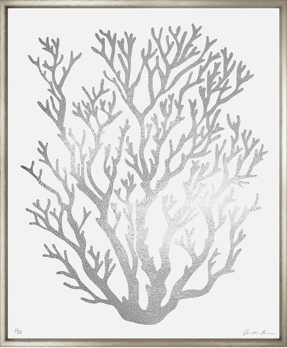 Image CCW-1