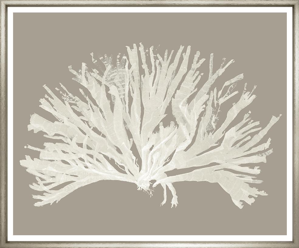 Image MCGR-1