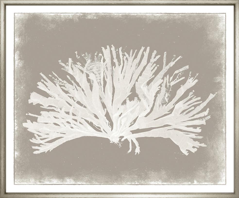 Image MCH-1