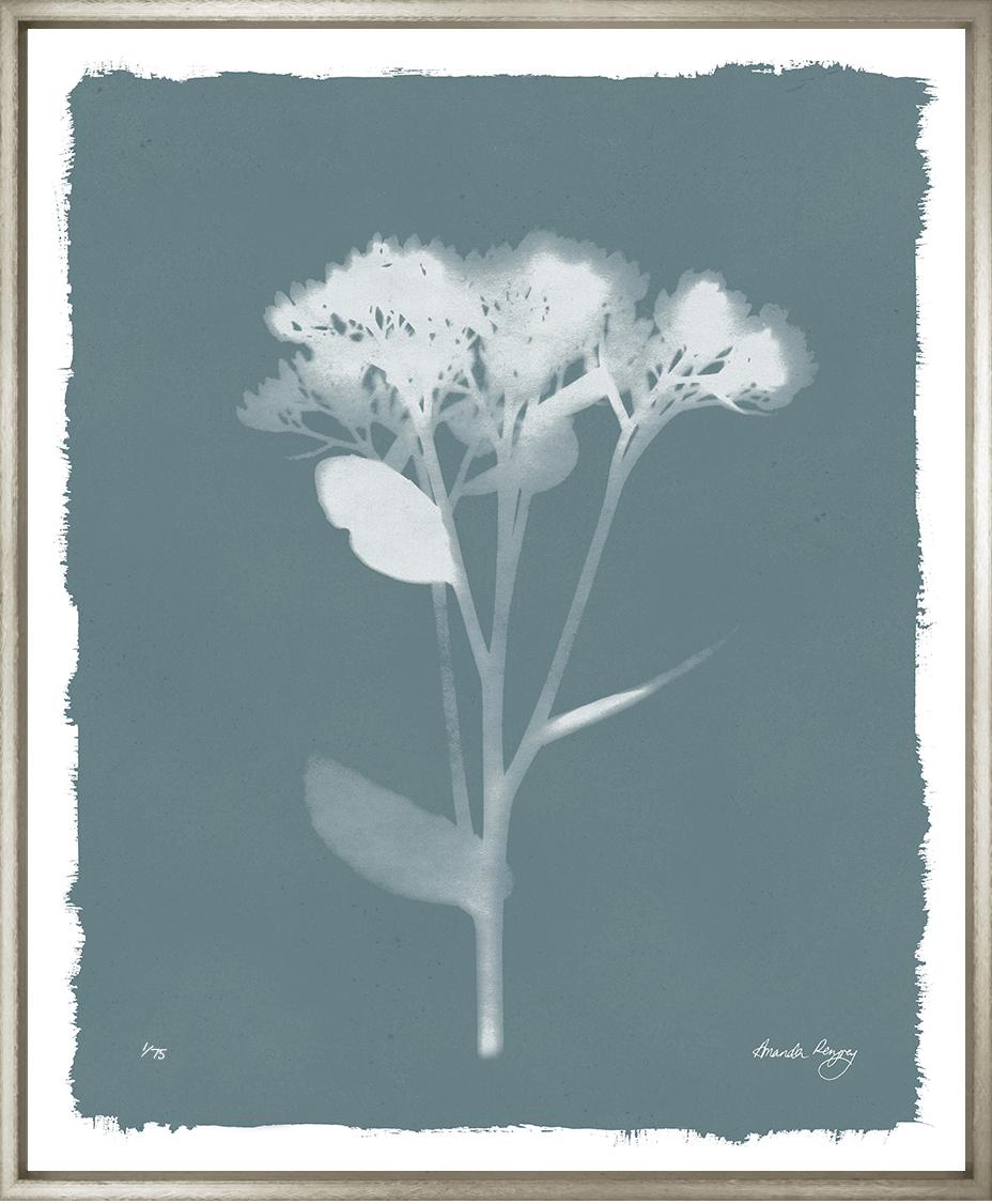 Image SFB-1