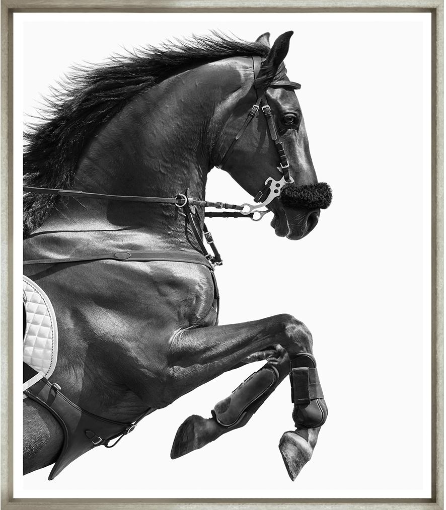 Image TG-1177-1