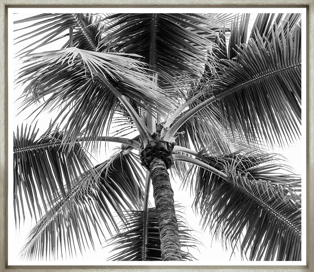 Image TG-1205-1