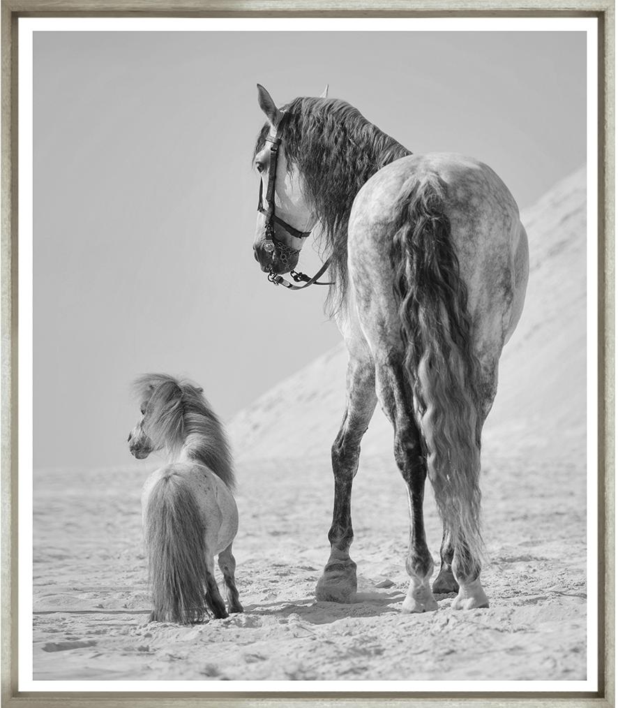 Image TG-1327-1