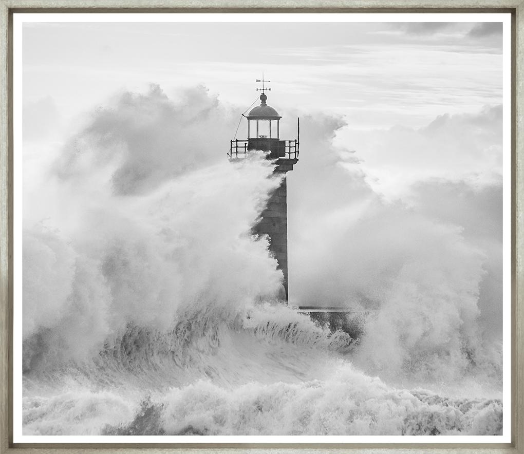 Image TG-1351-1