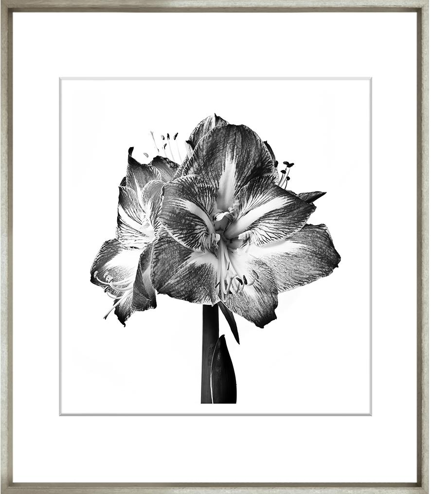 Image TG-146-1