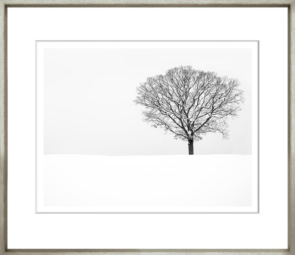 Image TG-148-1