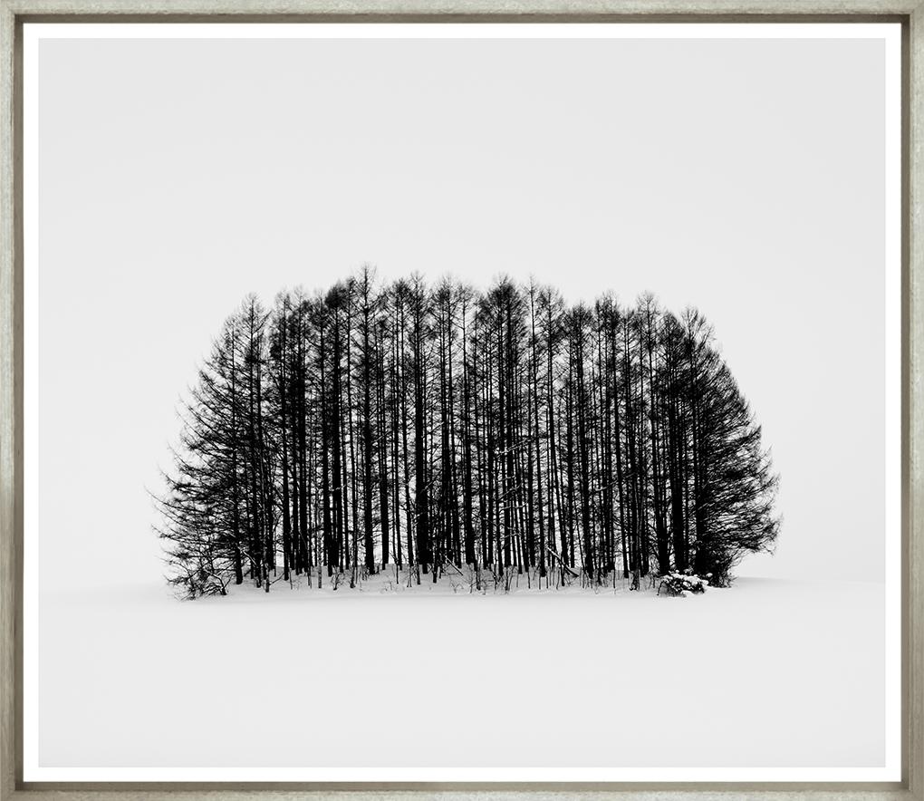 Image TG-163-1