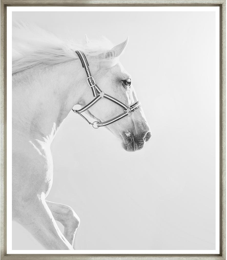 Image TG-1641-1