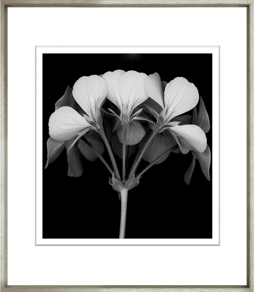 Image TG-171-1