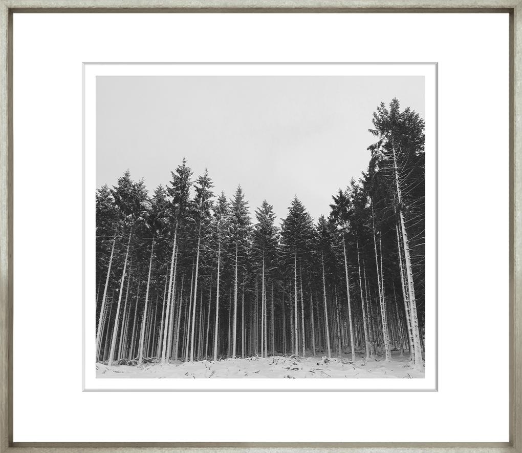 Image TG-175-1