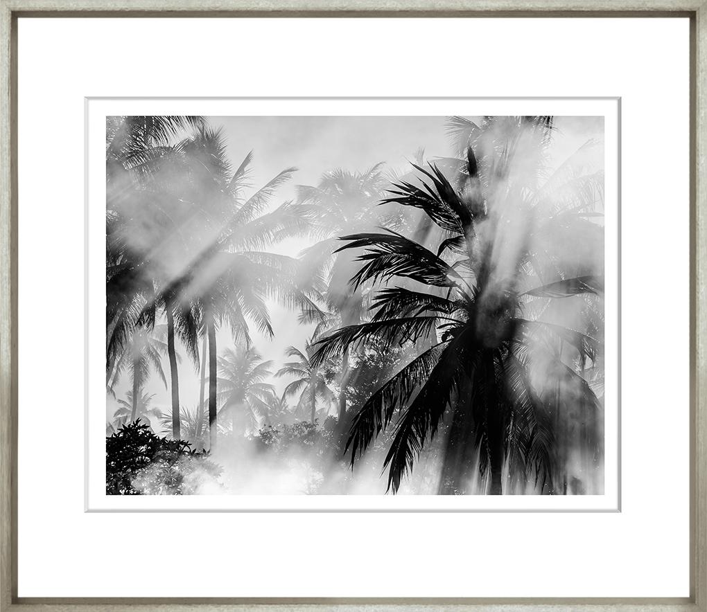 Image TG-195-1