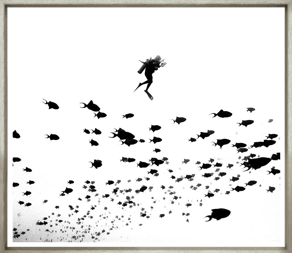 Image TG-199-1