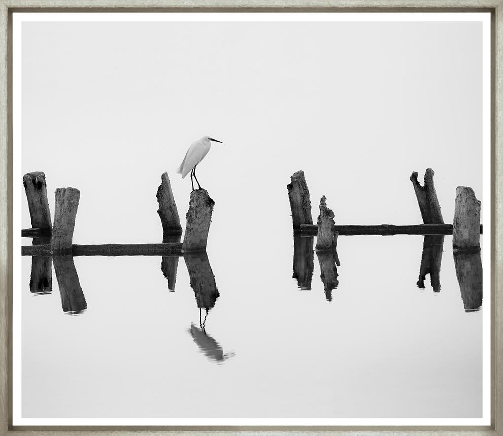 Image TG-204-1