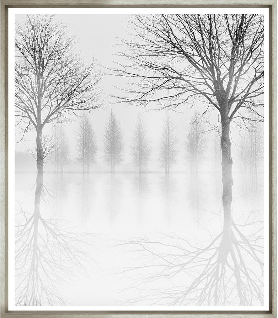 Image TG-211-1