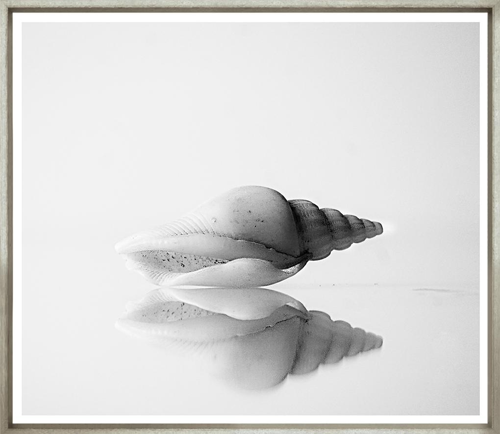 Image TG-216-1