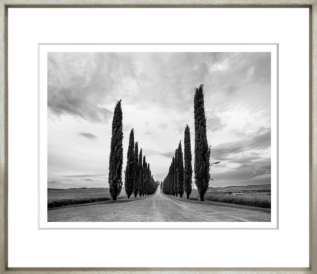 Image TG-225-1