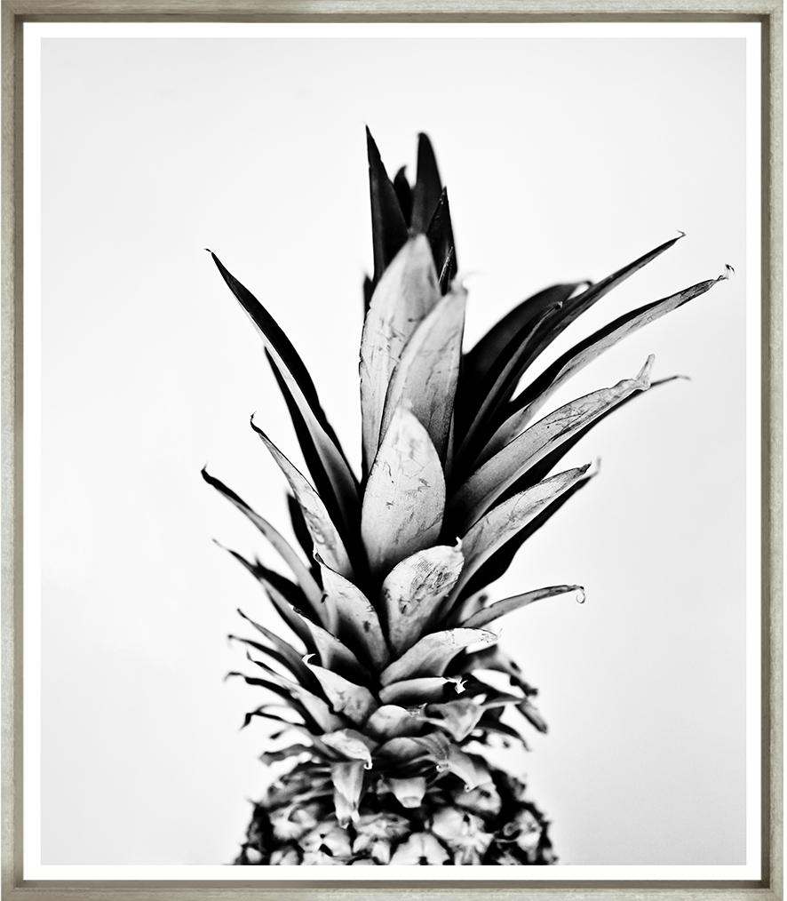 Image TG-228-1