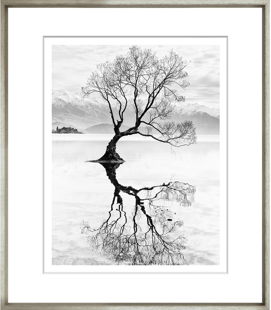 Image TG-232-1