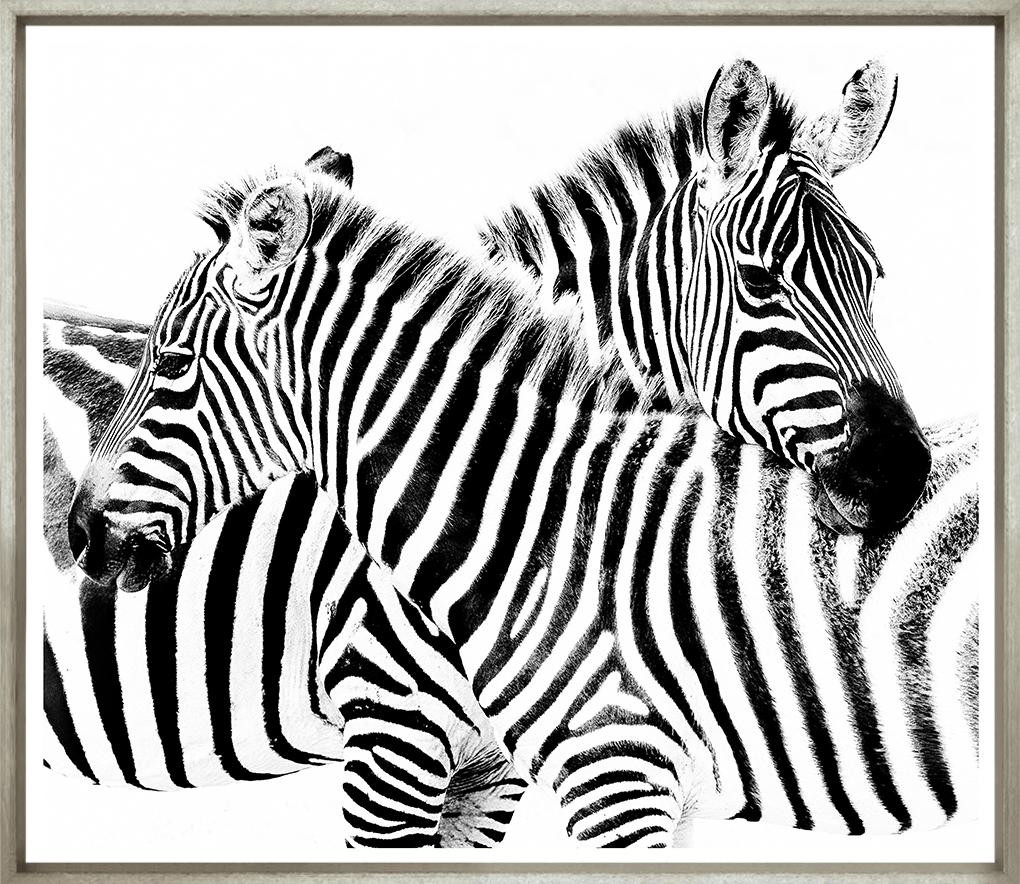 Image TG-2460-1