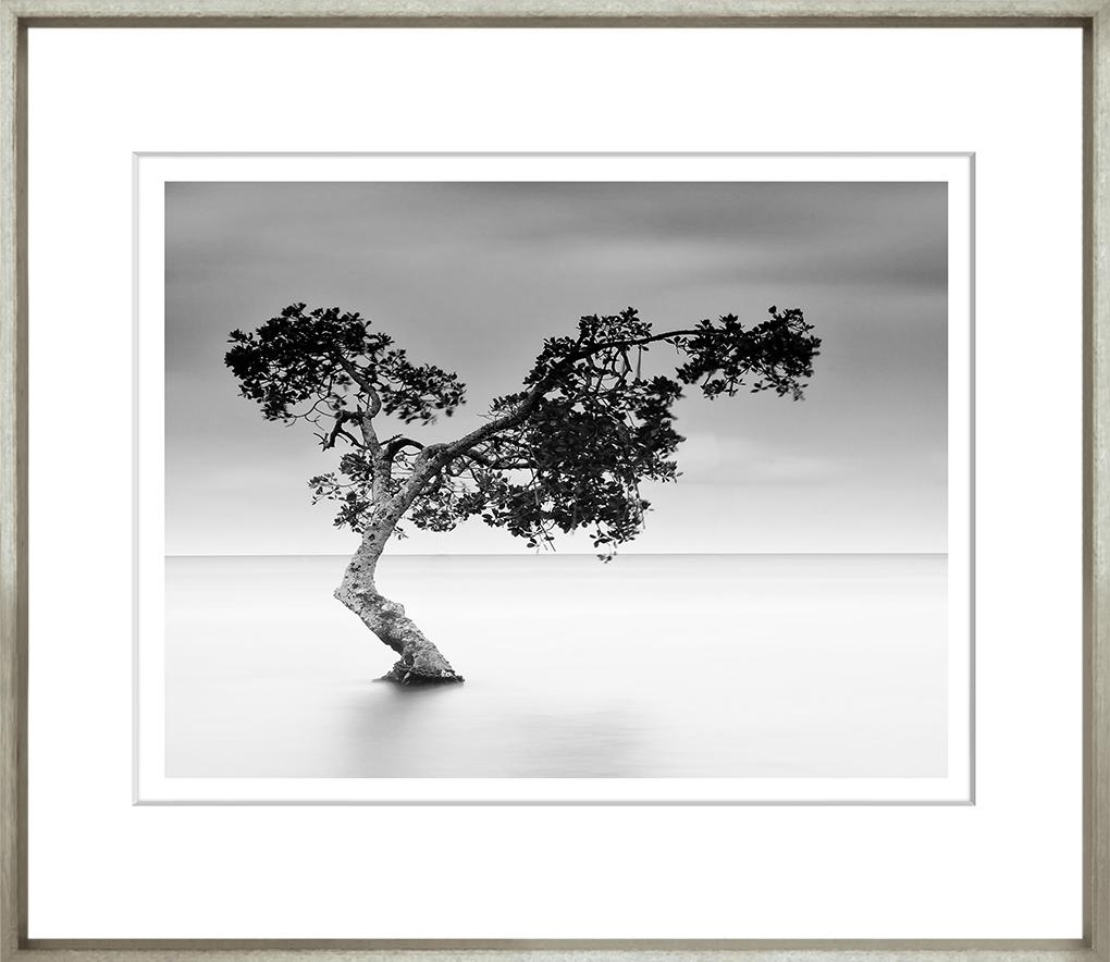 Image TG-257-1