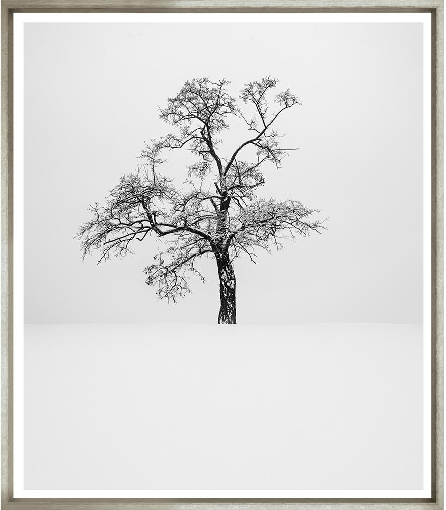 Image TG-260-1