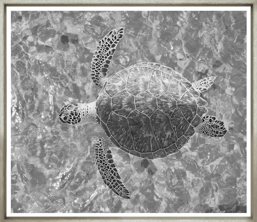 Image TG-697-1