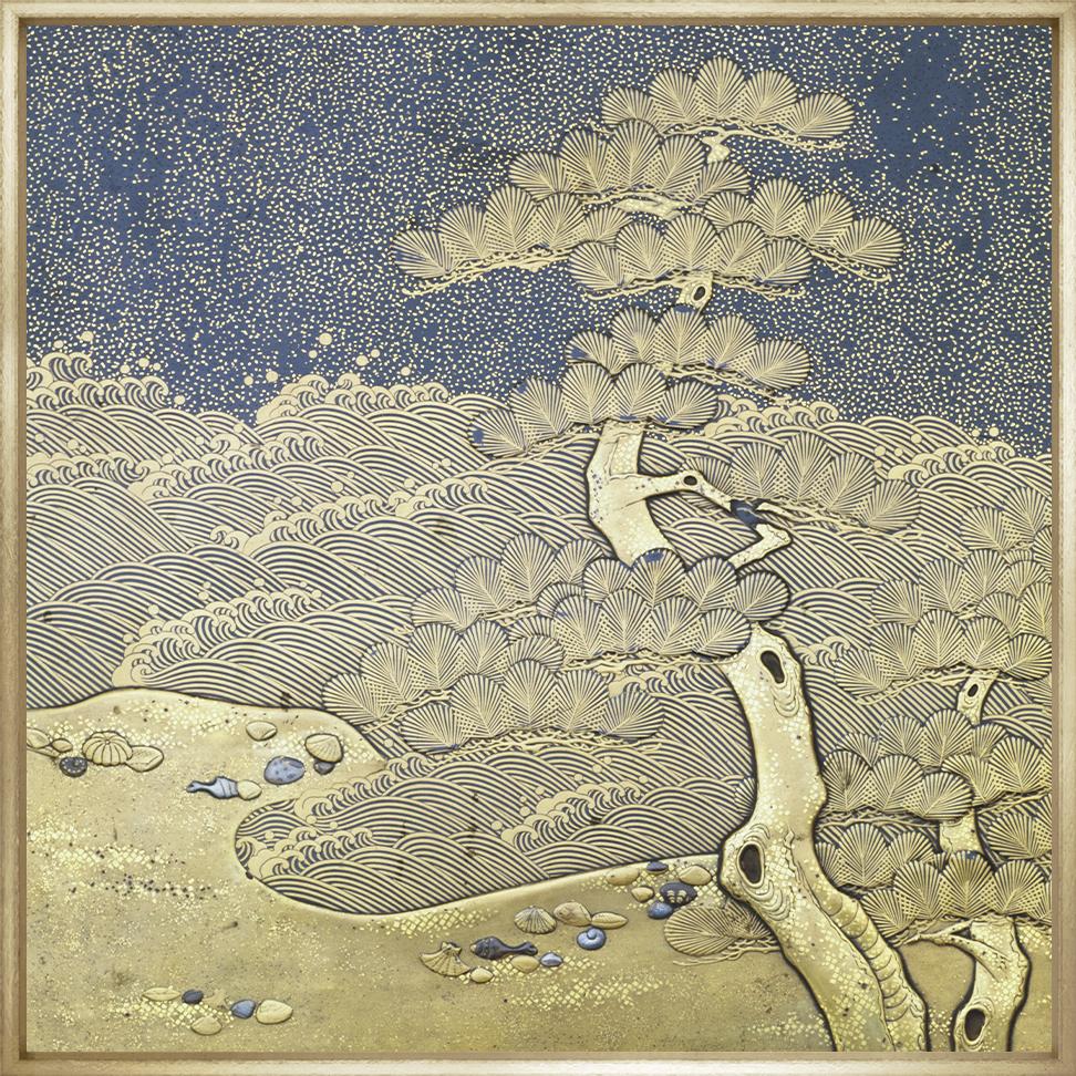 Image TF137-1