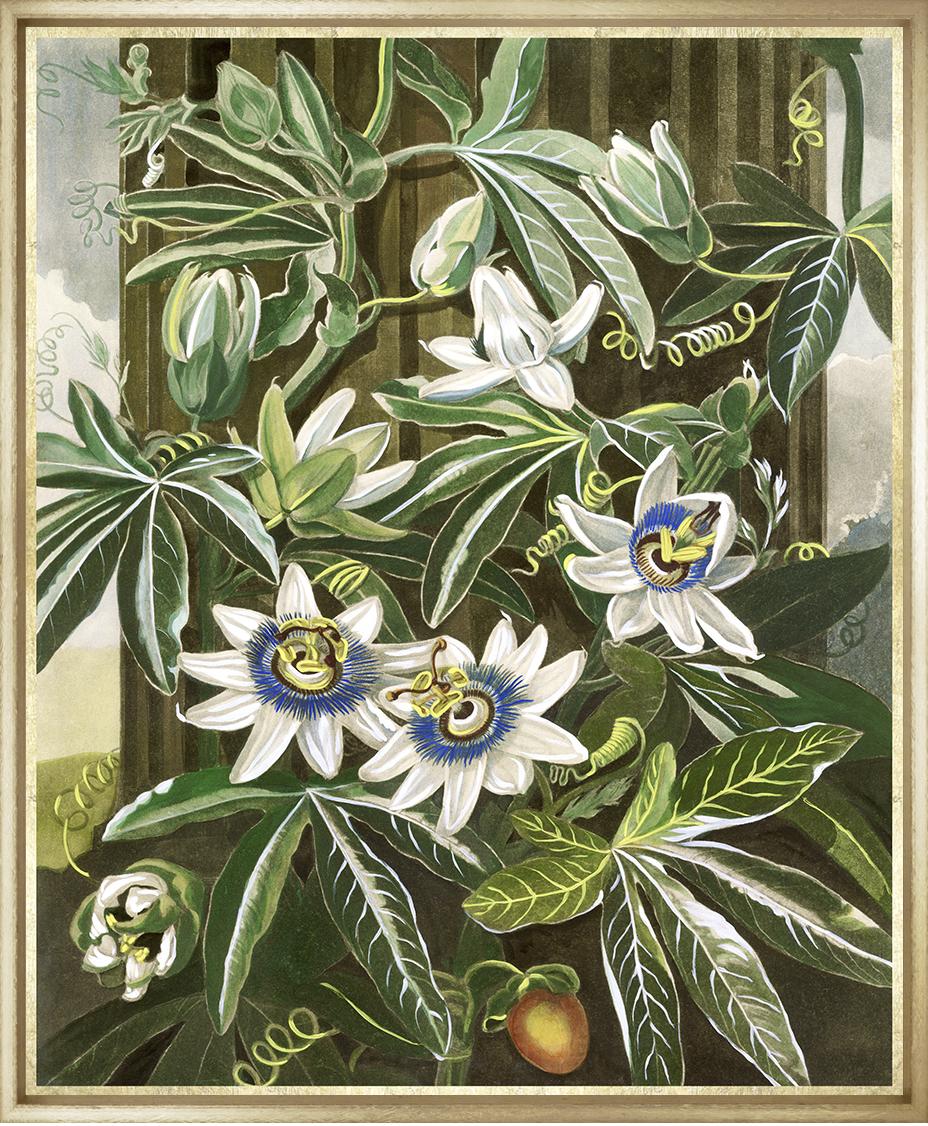 Image TF140-1