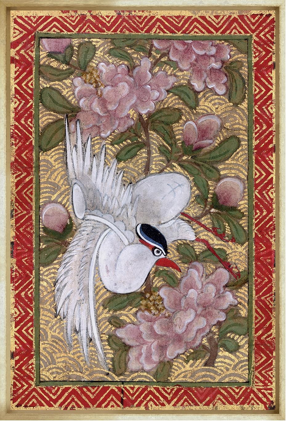 Image TF145-1