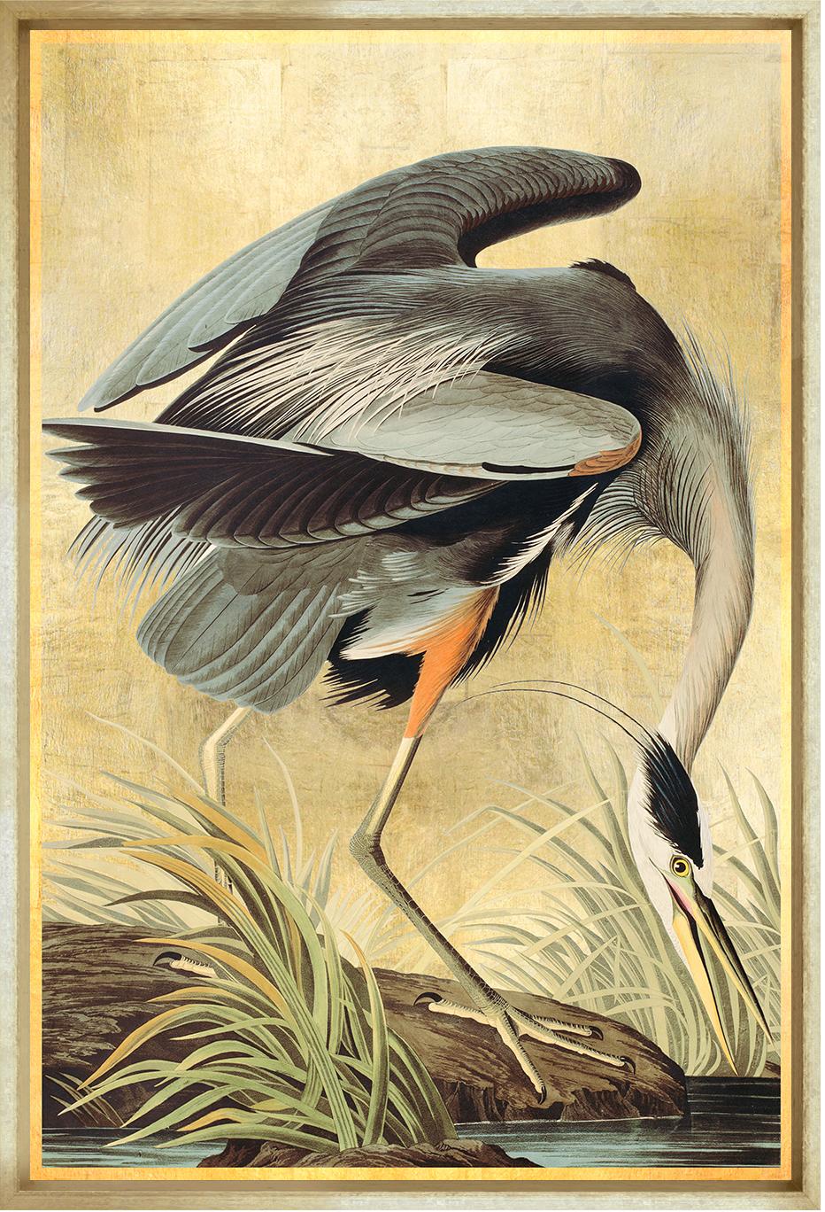 Image TF66-1