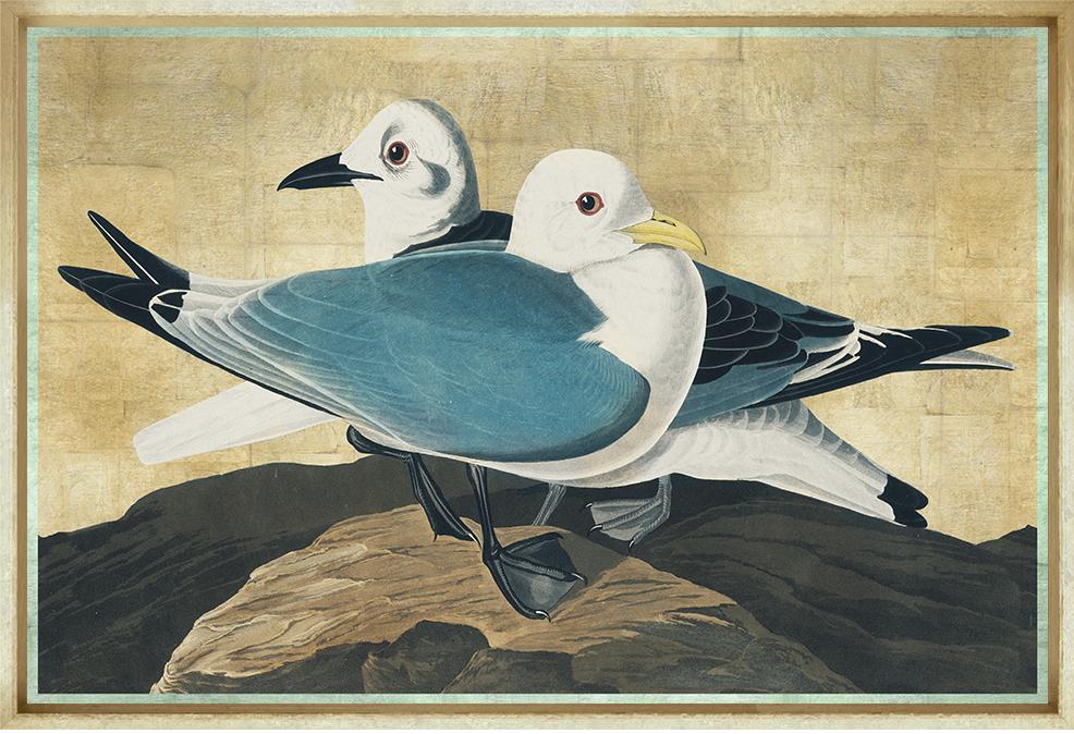 Image TF75-1