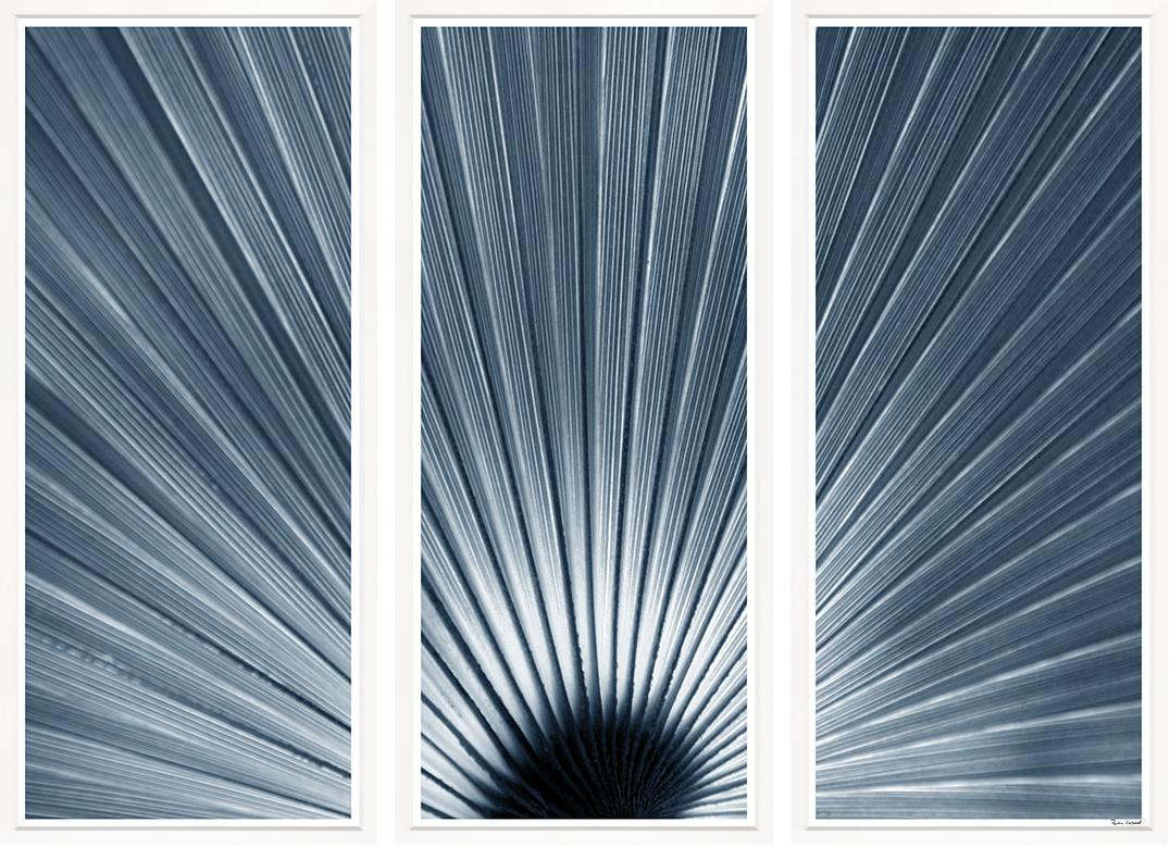 Image BWTRB16-1