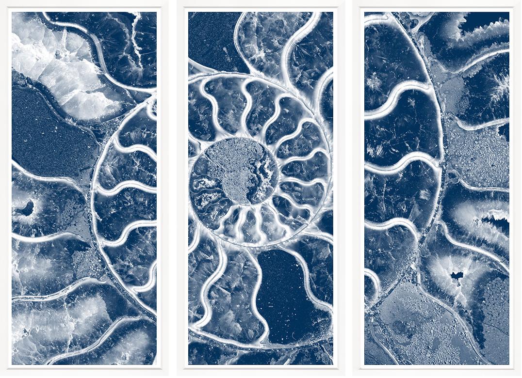 Image BWTRB23-1