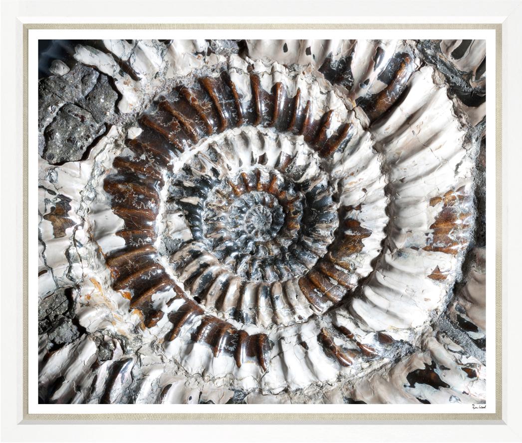 Image BWJ26-1