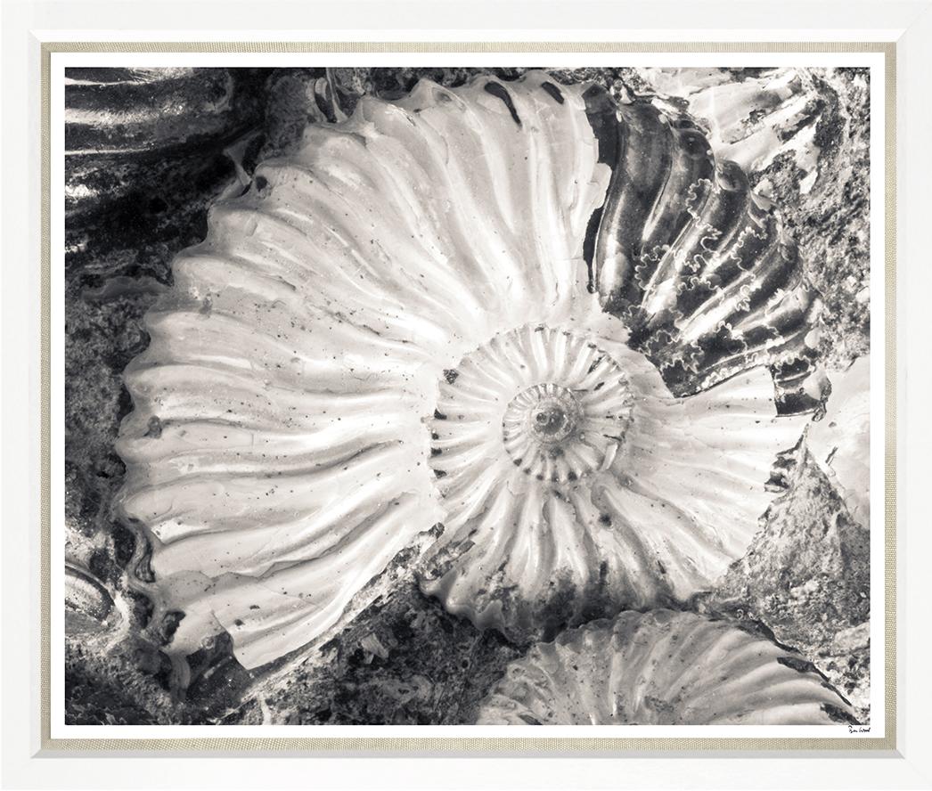 Image BWJ3-1