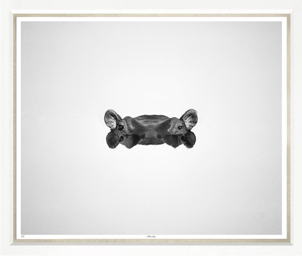 Image TL801-1