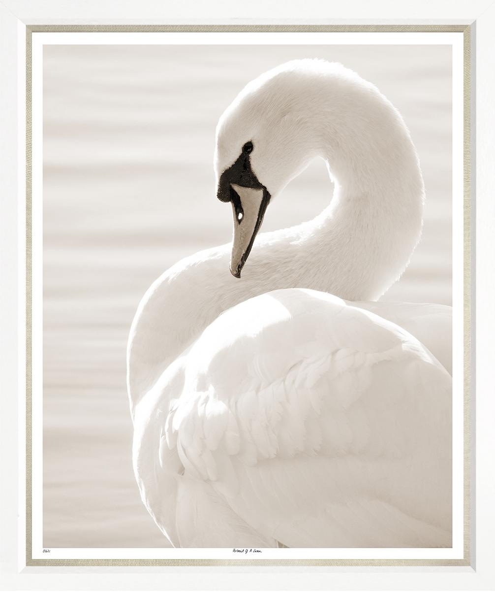 Image TP1671-1