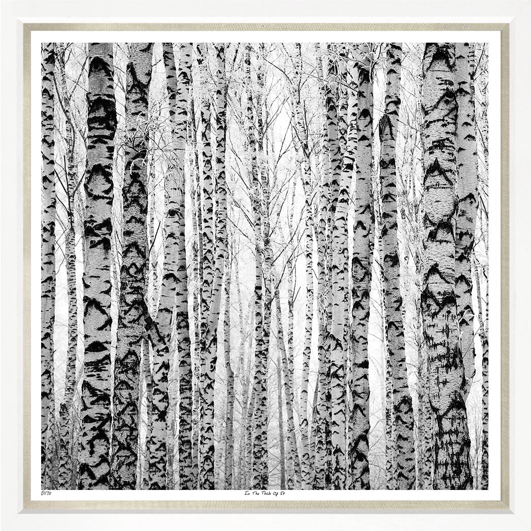 Image TS1170-1