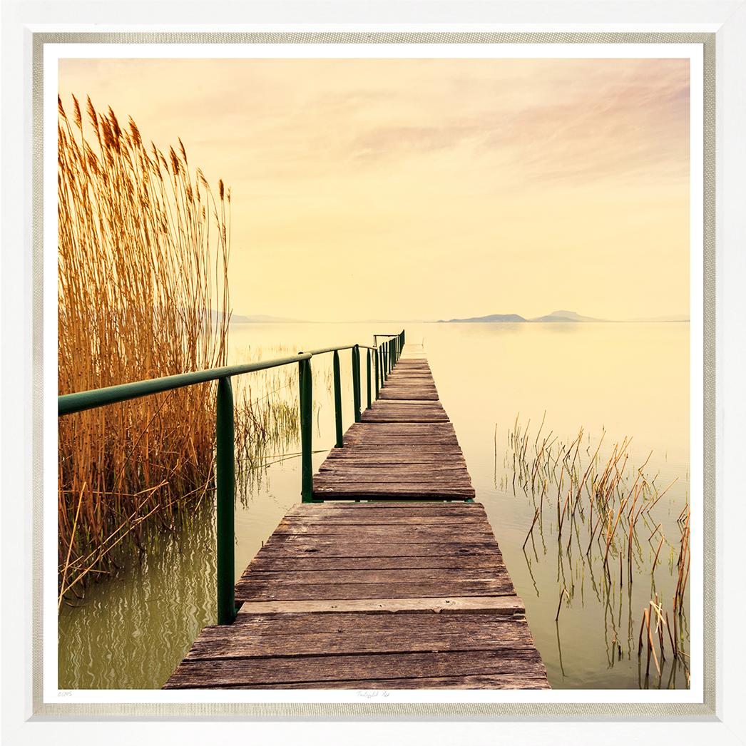 Image TS1295-1