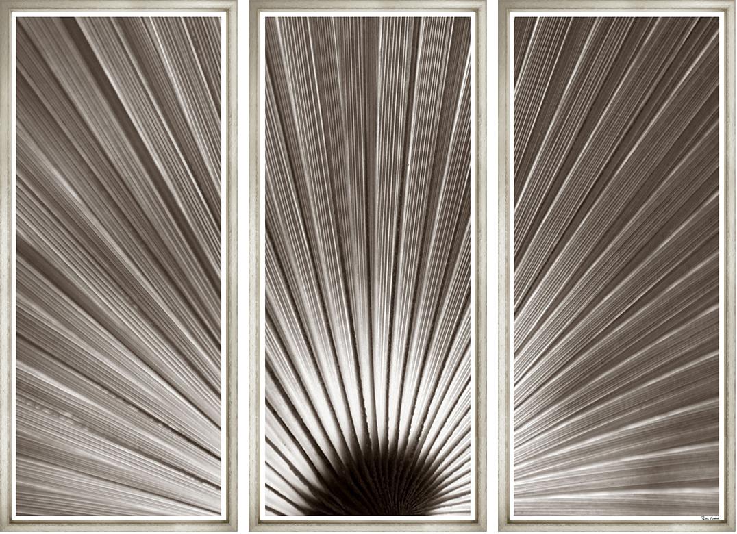 Image BWTR16-1