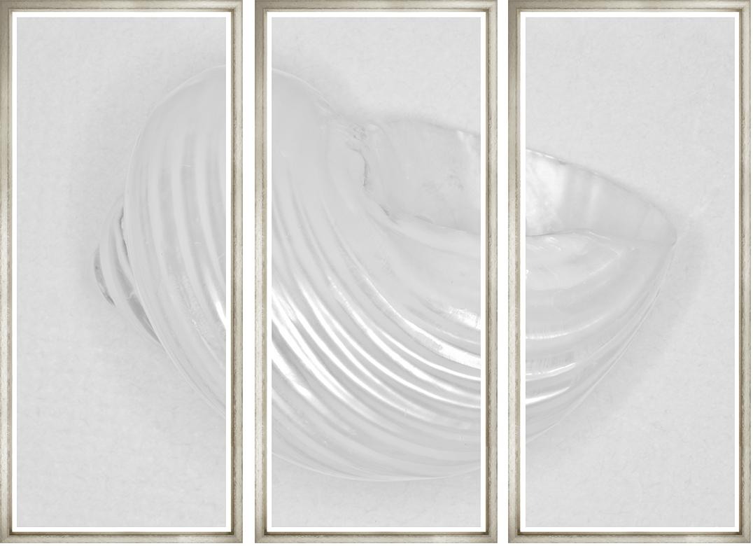 Image BWTR20-1