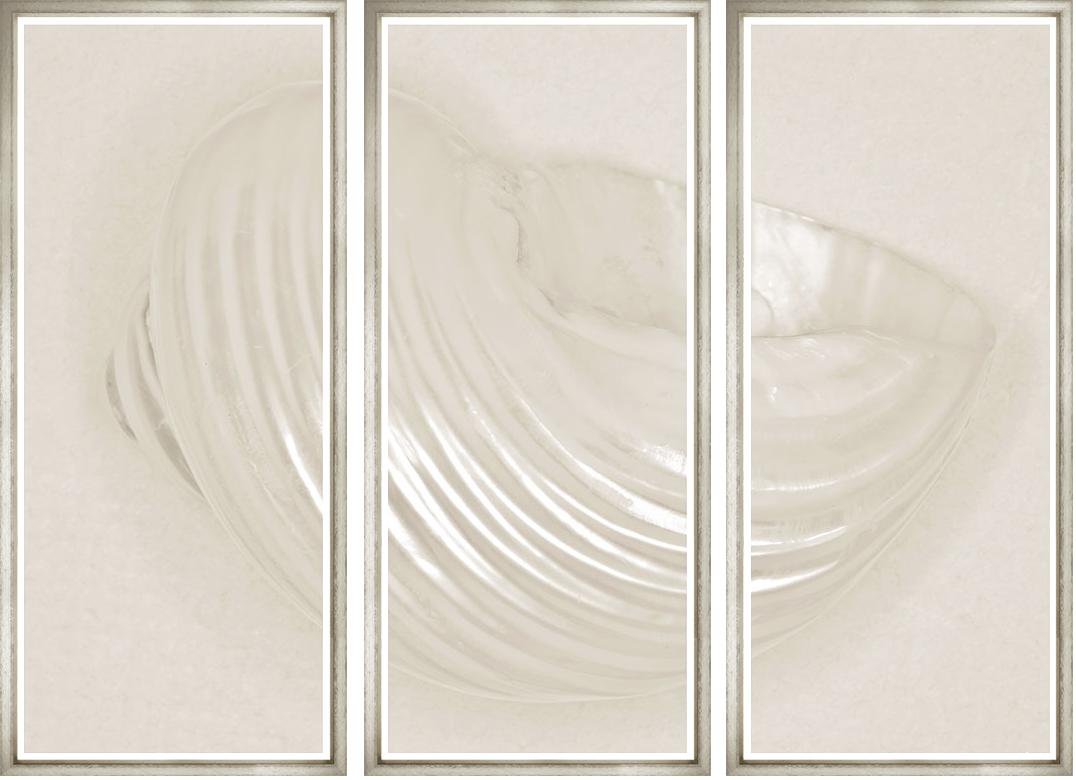 Image BWTR21-1